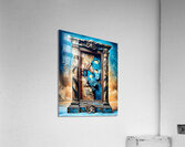 Frames 2113  Acrylic Print